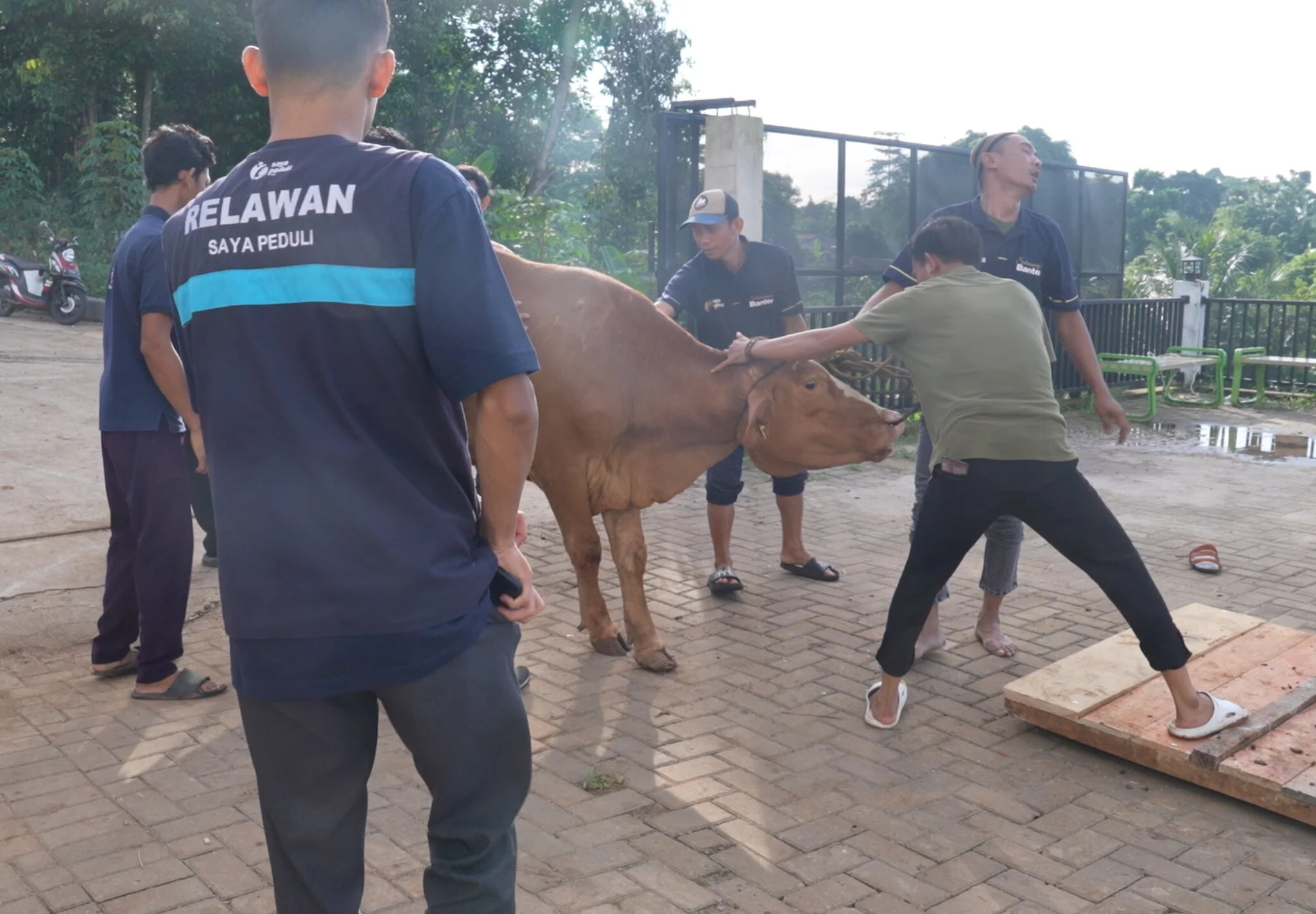 Foto 20 dari album Kurban Bersama Santri Tahfidz 2026